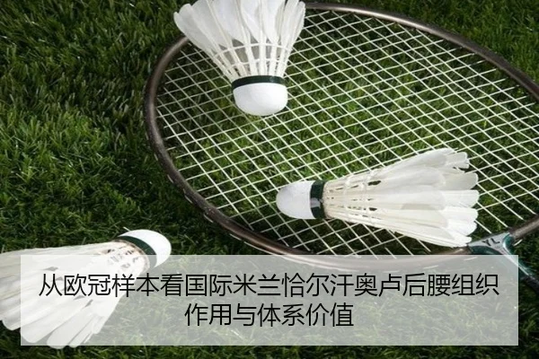 cong-ou-guan-yang-ben-kan-guo-ji-mi-lan-qia-er-han-ao-lu-hou-yao-zu-zhi-zuo-yong-yu-ti-xi-jia-zhi-2-868.jpg